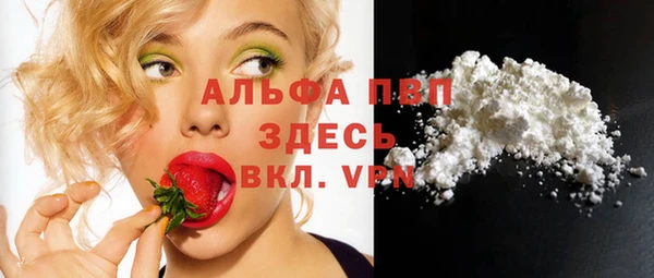 сатива Горнозаводск