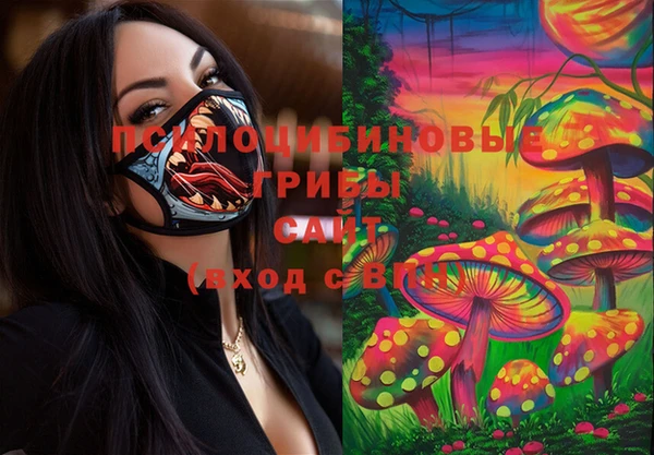 2c-b Горняк