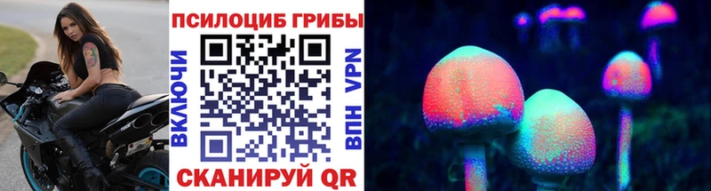 Псилоцибиновые грибы MAGIC MUSHROOMS  закладка  блэк спрут зеркало  Красногорск 